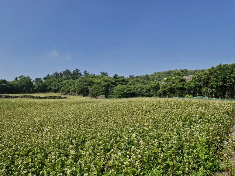 20250604_155902.jpg?type=w773