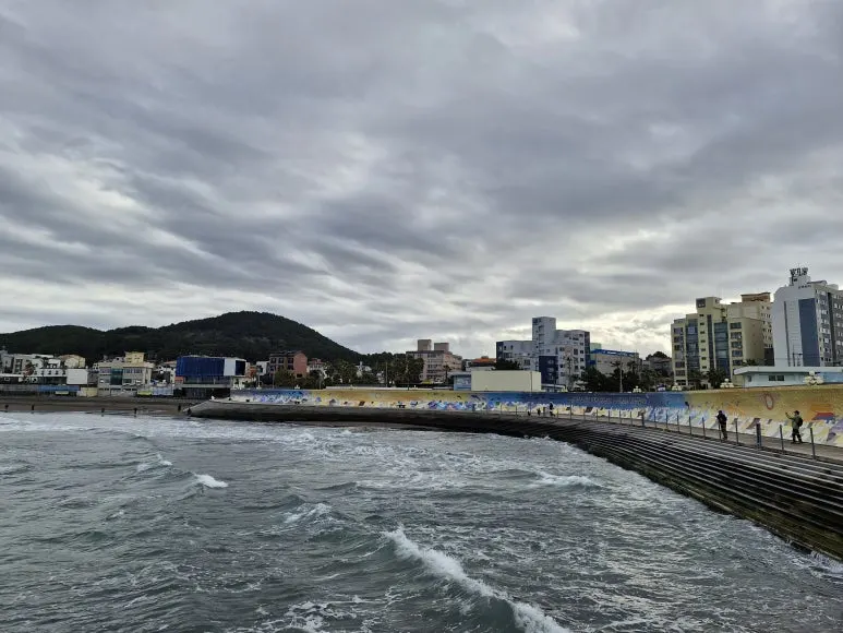 20251213_094100.jpg?type=w773