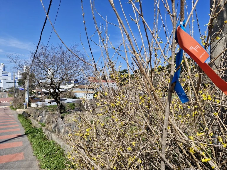 20240313_135912.jpg?type=w773