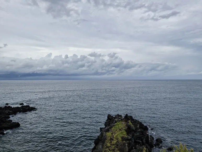 20250925_130548.jpg?type=w773