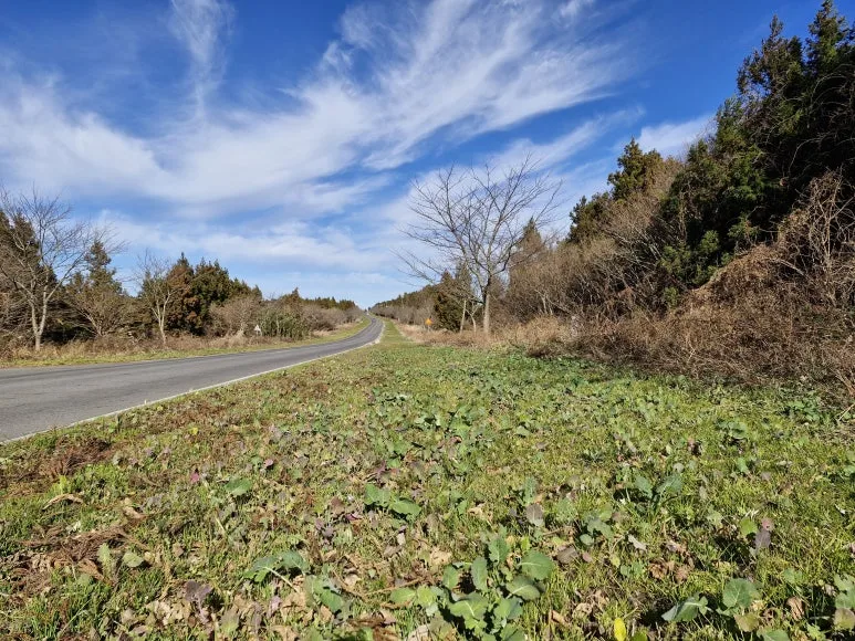 20251230_133503.jpg?type=w773