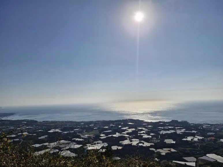 20251212_104457.jpg?type=w773