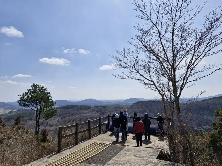 20250317_113120.jpg?type=w773