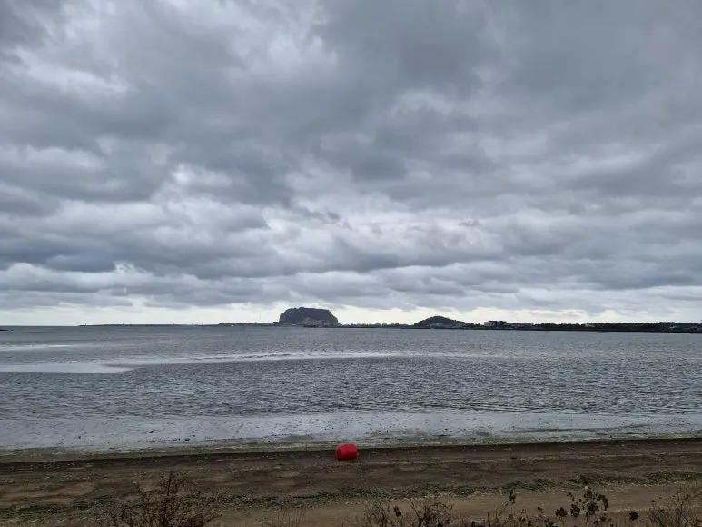 20251213_124748.jpg?type=w773