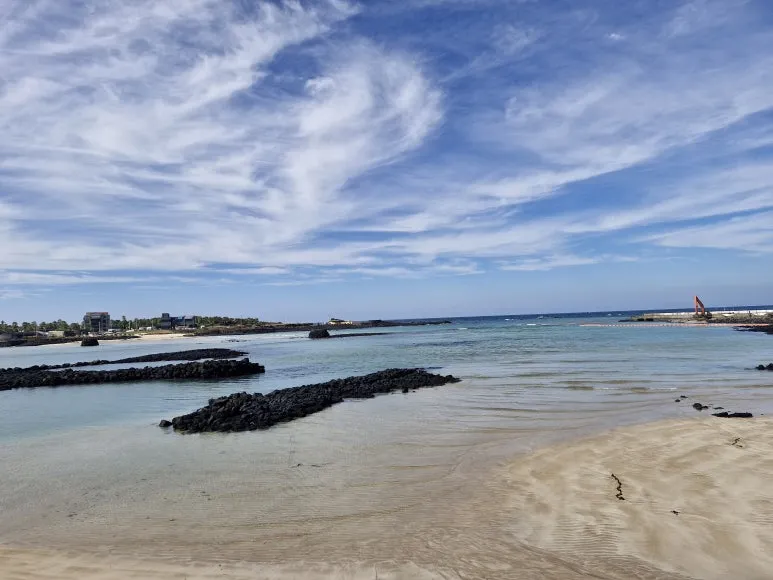 20241030_142325.jpg?type=w773