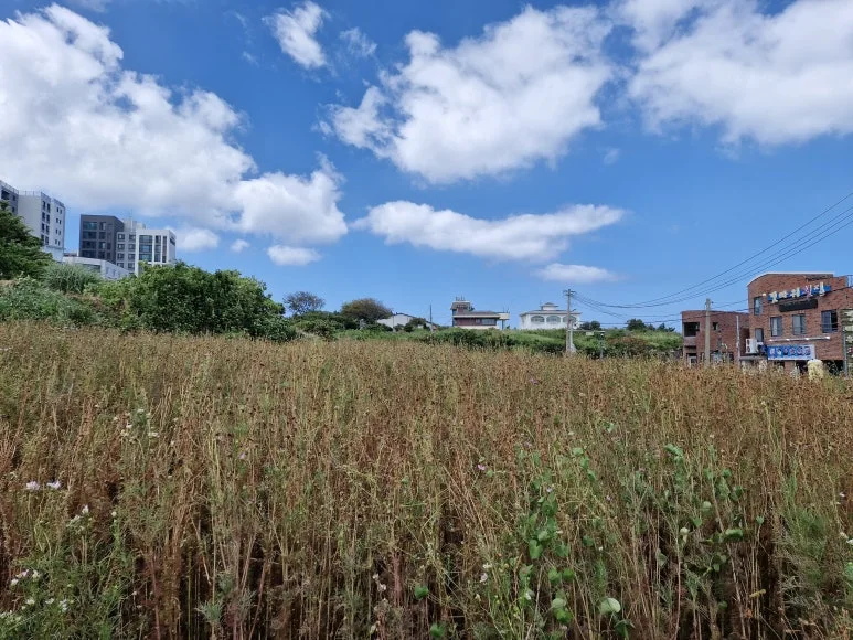 20240904_112544.jpg?type=w773