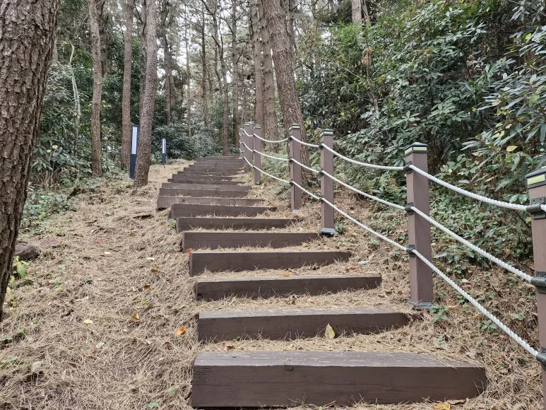 20260101_130904.jpg?type=w773