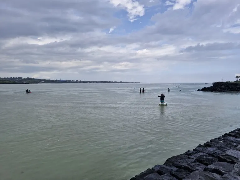 20250827_135643.jpg?type=w773