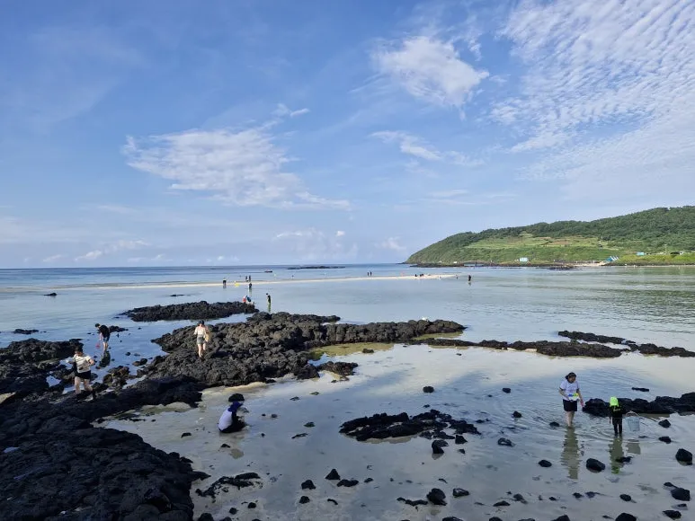 20250828_171053.jpg?type=w773