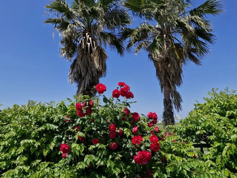 20240513_135812.jpg?type=w773