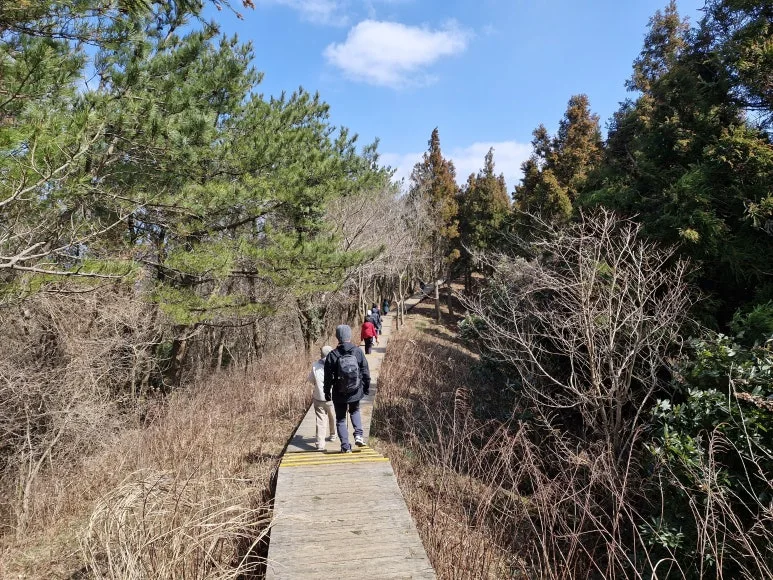 20250317_112905.jpg?type=w773