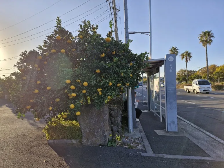 20251208_162501.jpg?type=w773