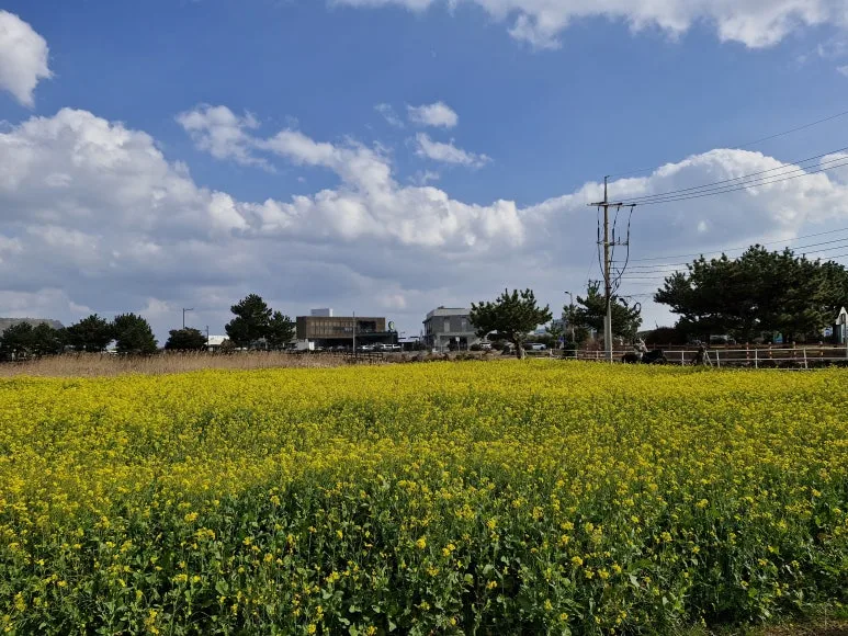 20250106_1357351.jpg?type=w773