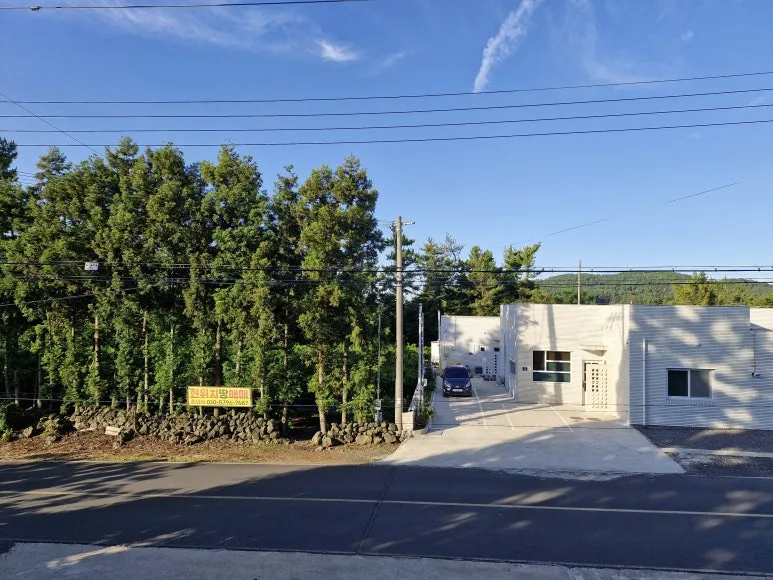 20250605_065052.jpg?type=w773