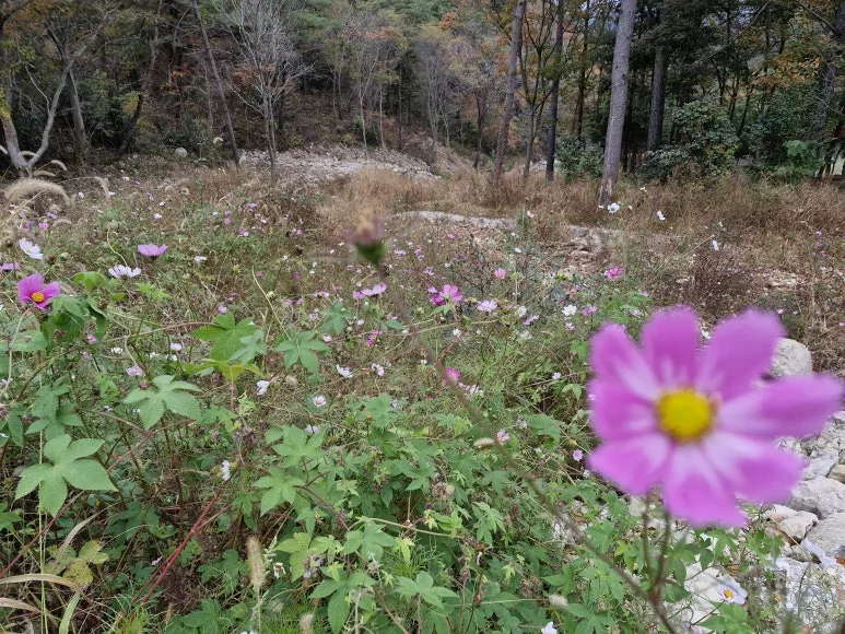 20241119_073615.jpg?type=w773