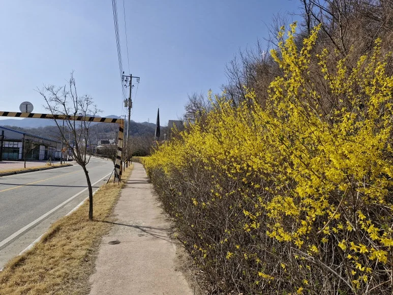 20250326_151901.jpg?type=w773