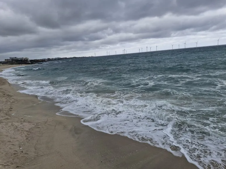 20241019_104339.jpg?type=w773