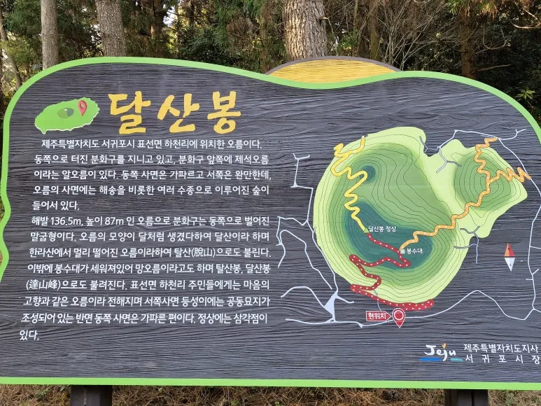 20250313_164757.jpg?type=w773