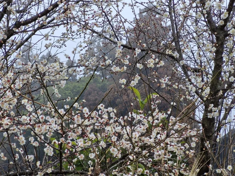 20250302_104927.jpg?type=w773