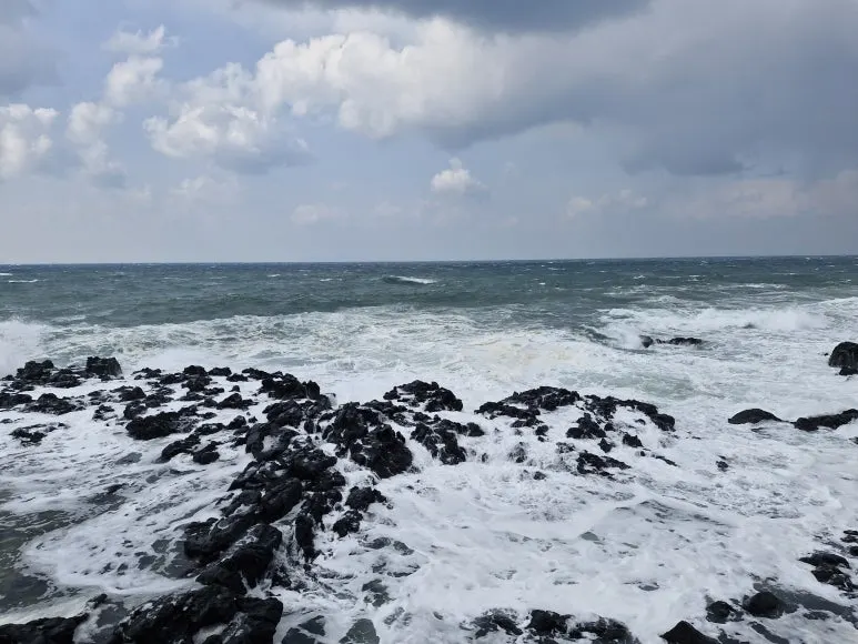 20250318_144457.jpg?type=w773