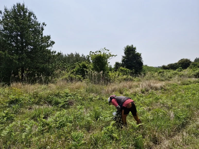 20250512_104256.jpg?type=w773