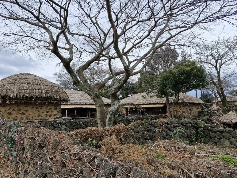 20260101_123612.jpg?type=w773