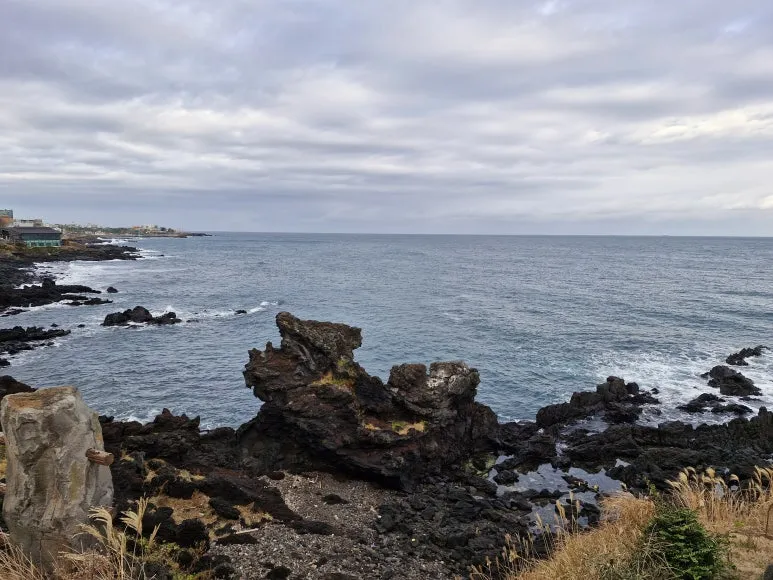 20251213_090557.jpg?type=w773