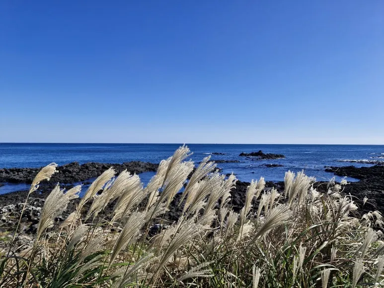 20251110_131633.jpg?type=w773