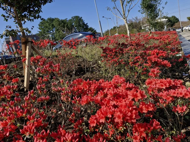 20250414_0906371.jpg?type=w773