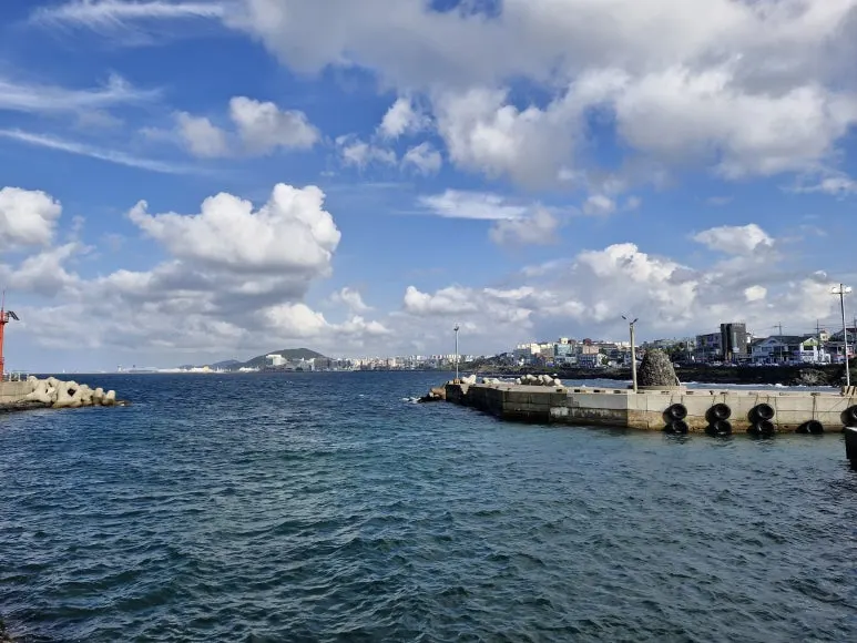 20240925_155121.jpg?type=w773