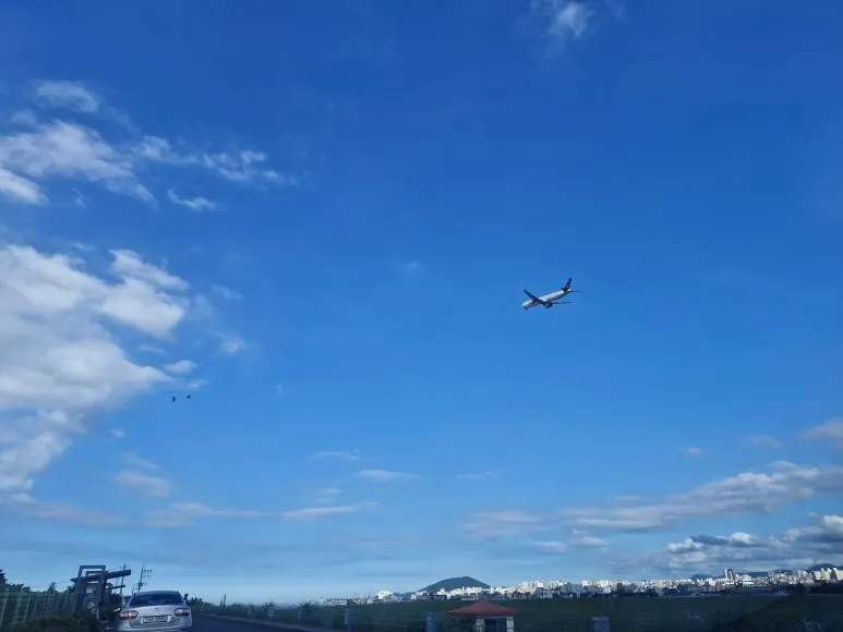 20250815_165330.jpg?type=w773