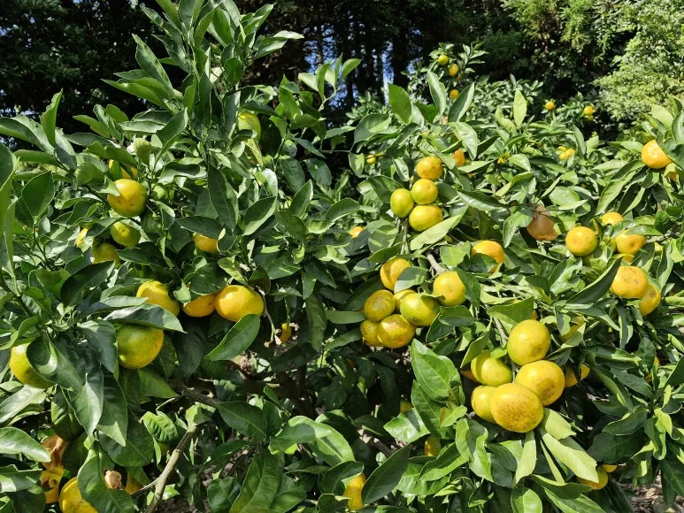 20251010_110926.jpg?type=w773