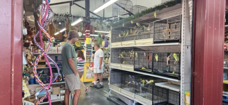 900%EF%BC%BF20250114%EF%BC%BF102606.jpg?type=w773