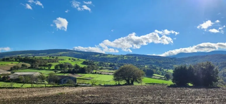 20241013%EF%BC%BF112035.jpg?type=w773