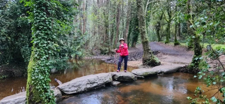 20241017%EF%BC%BF092317.jpg?type=w773