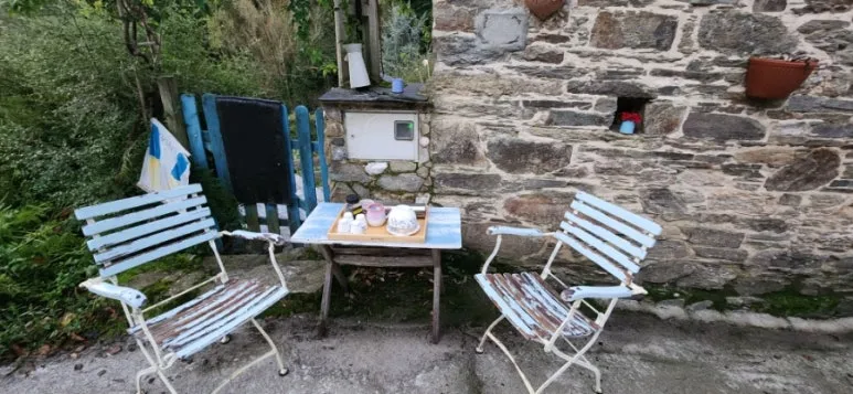 20241013%EF%BC%BF083414.jpg?type=w773