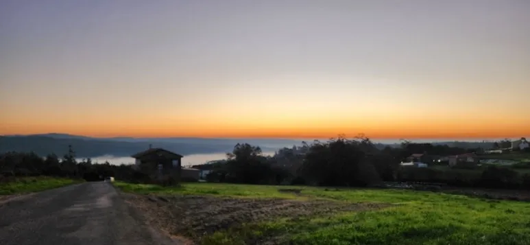 20241023%EF%BC%BF084601.jpg?type=w773