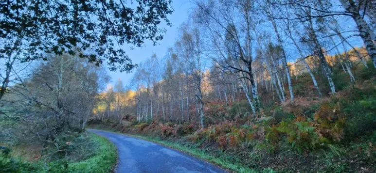 20241013%EF%BC%BF093301.jpg?type=w773