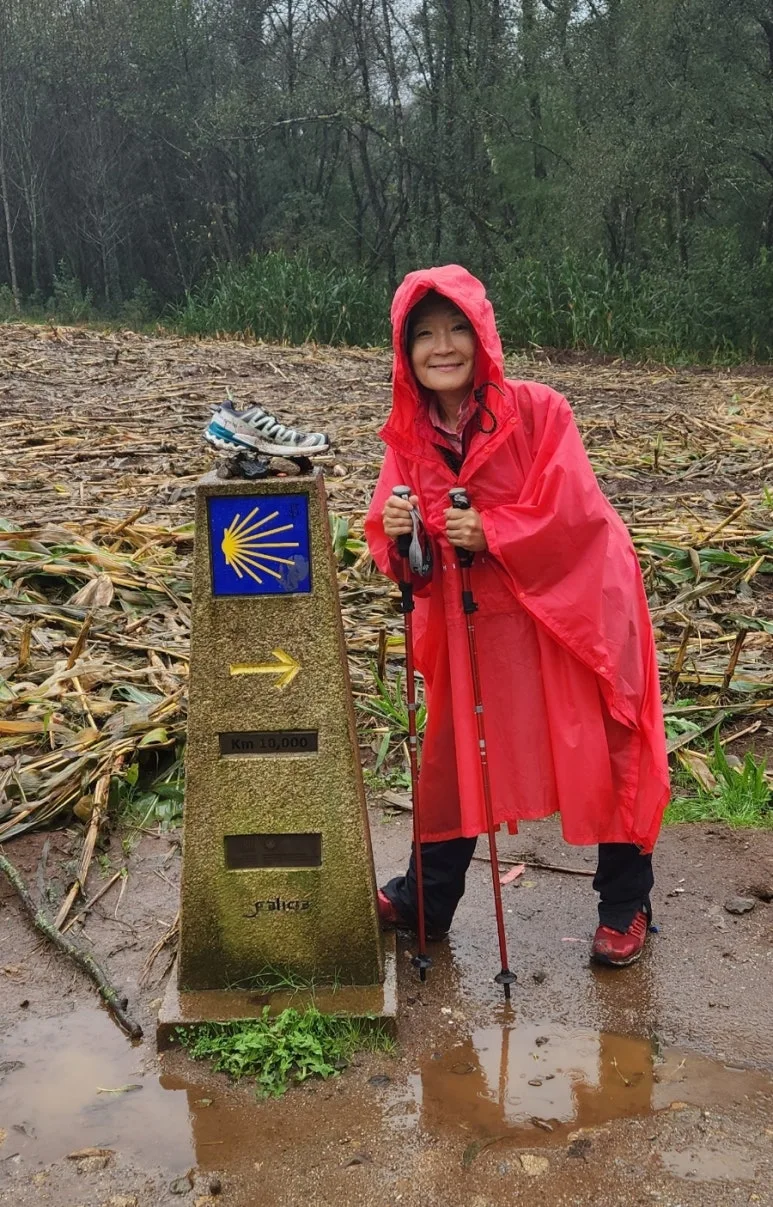 1729362204296.jpg?type=w773