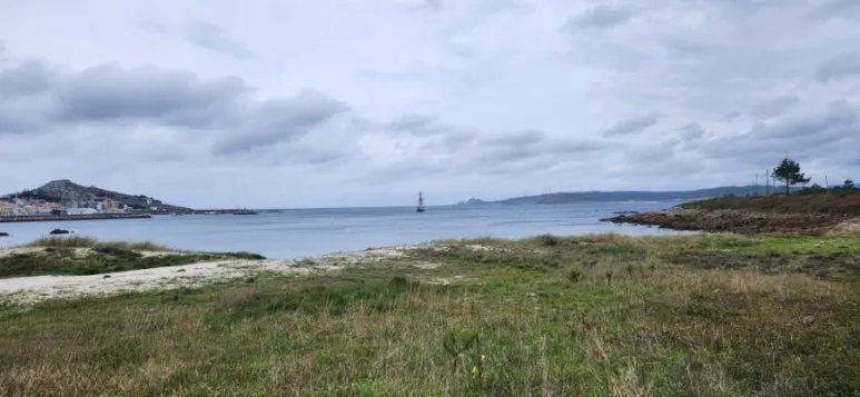 20241024%EF%BC%BF145800.jpg?type=w773