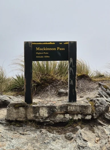 900%EF%BC%BF1737608154261.jpg?type=w386