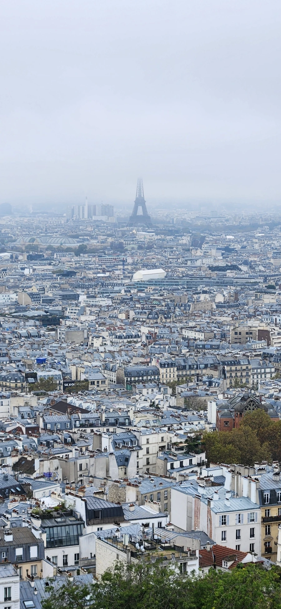 20241029%EF%BC%BF103758.jpg?type=w1