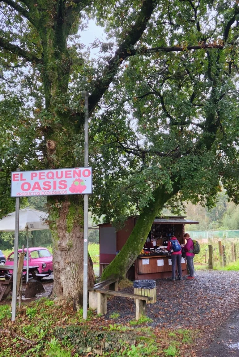 1729187505656.jpg?type=w773