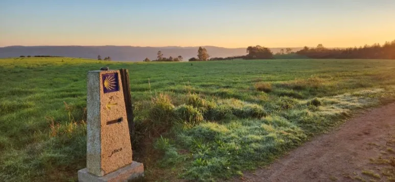 20241023%EF%BC%BF091313.jpg?type=w773