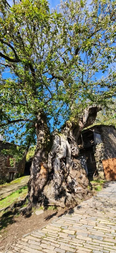 20241012%EF%BC%BF123808.jpg?type=w386