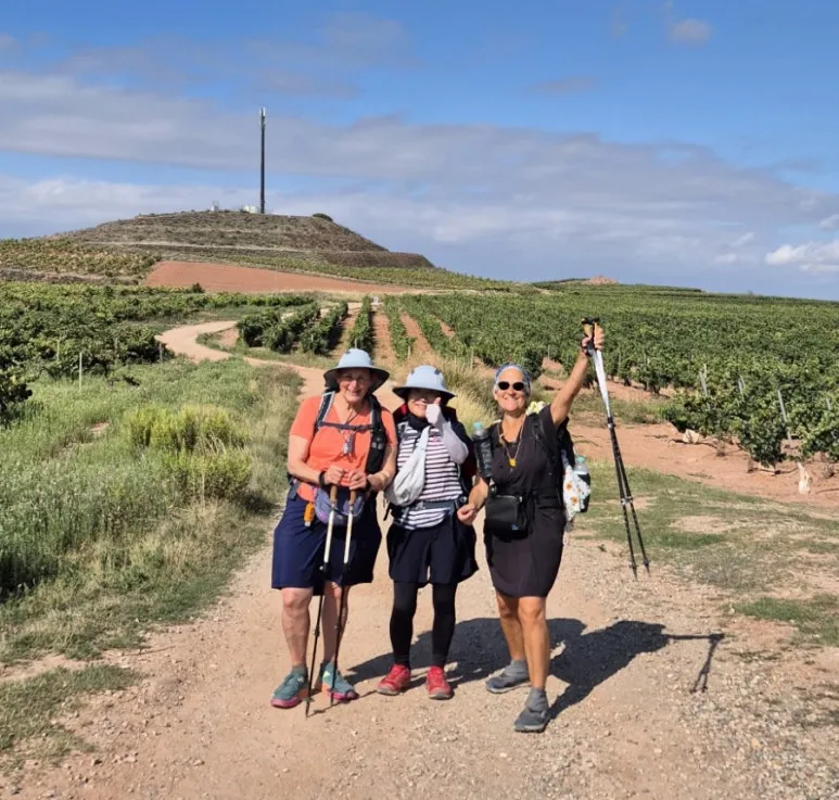 1726679776342.jpg?type=w773