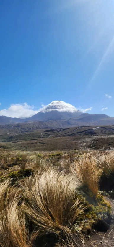 900%EF%BC%BF20250127%EF%BC%BF100524.jpg?type=w386