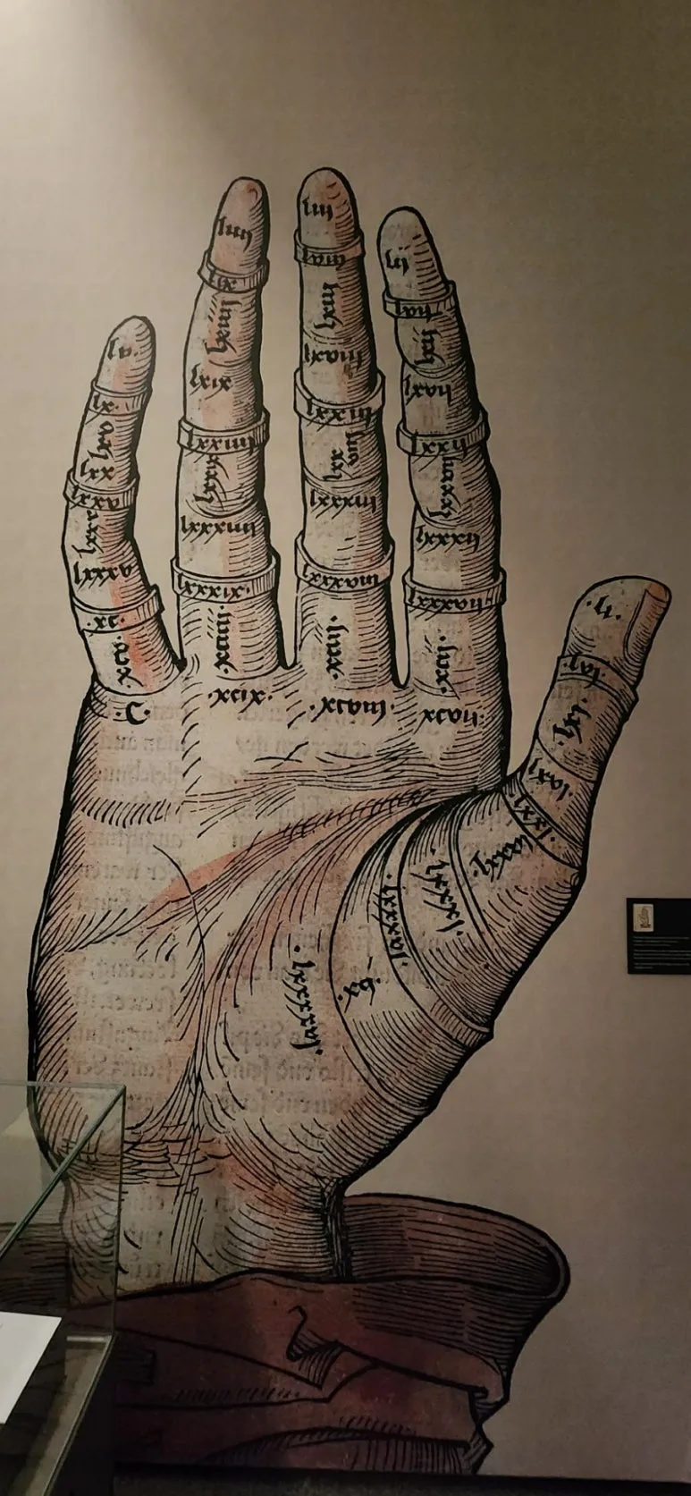 900%EF%BC%BF20250112%EF%BC%BF100913.jpg?type=w773