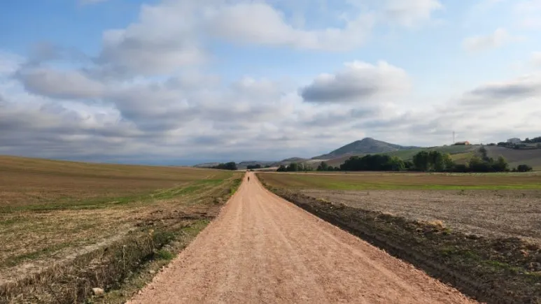 20240920%EF%BC%BF102636.jpg?type=w773