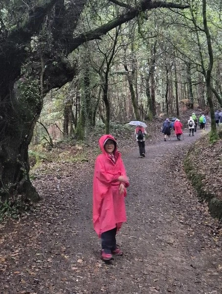 1729363798740.jpg?type=w773